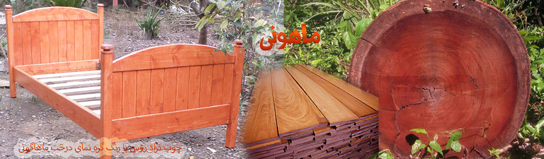 ماهونی